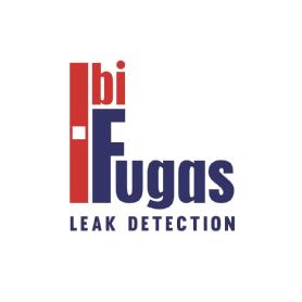 IBI FUGAS LEAK DETECTION