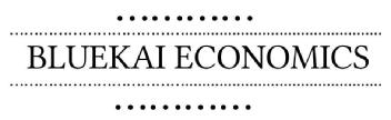 BLUEKAI ECONOMICS