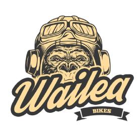 WAILEA BIKES