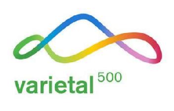 VARIETAL 500