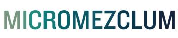 MICROMEZCLUM