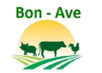 Bon - Ave