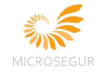 MICROSEGUR