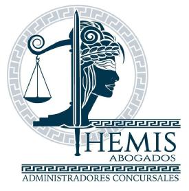 THEMIS ABOGADOS ADMINISTRADORES CONCURSALES
