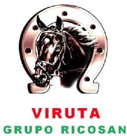 VIRUTA GRUPO RICOSAN