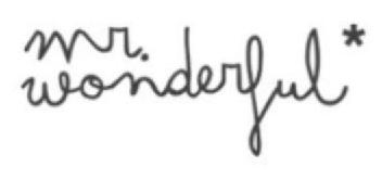 MR. WONDERFUL*