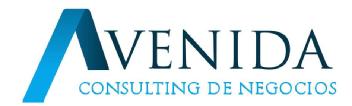 AVENIDA CONSULTING DE NEGOCIOS