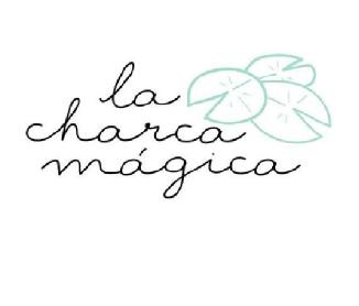 LA CHARCA MÁGICA