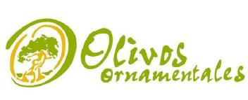 OLIVOS ORNAMENTALES