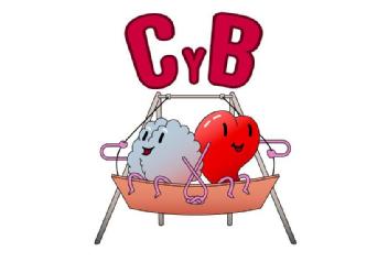 C y B