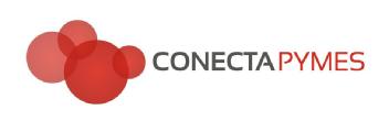 CONECTA PYMES