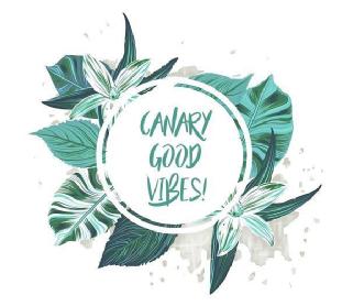 CANARY GOOD VIBES!