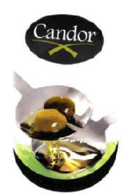CANDOR