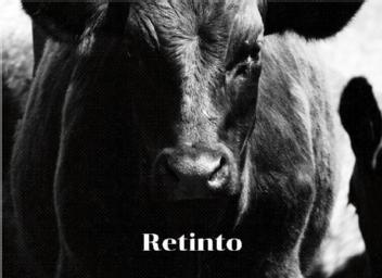 RETINTO