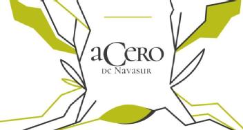 ACERO DE NAVASUR