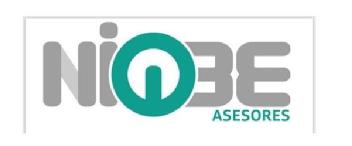 NIOBE ASESORES