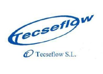 T TECSEFLOW T TECSEFLOW, S.L