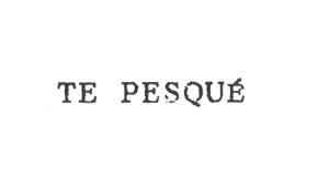 TE PESQUE