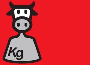 Kg