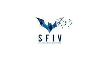 SFIV STADTFÜHRUNG IN VALENCIA MIT VITO