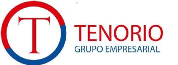 T TENORIO GRUPO EMPRESARIAL