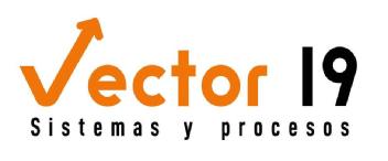VECTOR 19 SISTEMAS Y PROCESOS