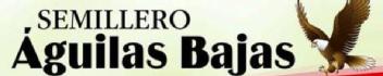 SEMILLERO AGUILAS BAJAS