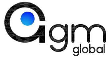 AGM GLOBAL