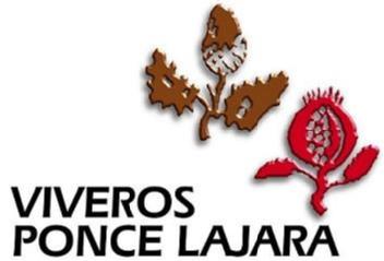 VIVEROS PONCE LAJARA