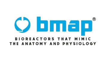 BMAP BIOREACTORS THAT MIMIC THE ANATOMY AND PHYSIOLOGY