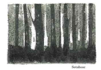 Sotabosc