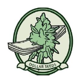 DOLLAR SEEDS