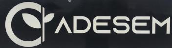 ADESEM