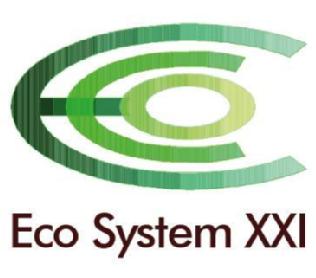 ECO SYSTEM XXI