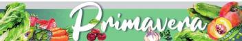 Primavera