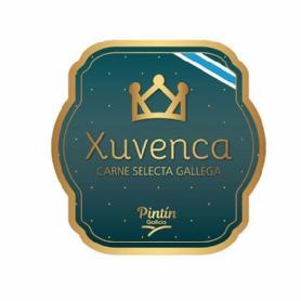 Xuvenca CARNE SELECTA GALLEGA Pintín Galicia