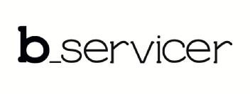 B SERVICER