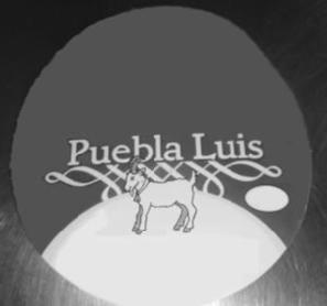 PUEBLA LUIS