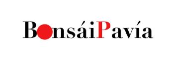 Bonsái Pavía