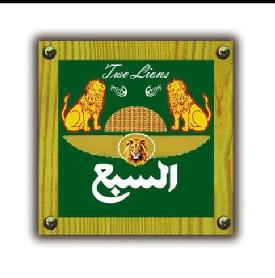 TWO LIONS