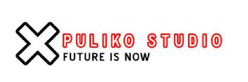 PULIKO STUDIO FUTURE IS NOW