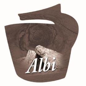 Albi