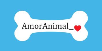 AMOR ANIMAL
