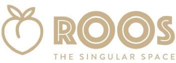 ROOS THE SINGULAR SPACE