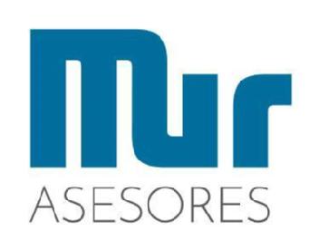 MUR ASESORES