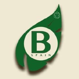 B SPAIN