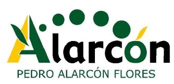 ALARCON PEDRO ALARCON FLORES