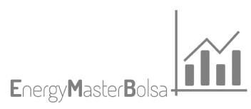Energy Máster Bolsa