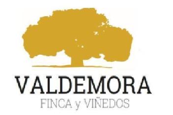 VALDEMORA FINCA Y VIÑEDOS