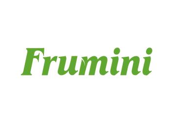 FRUMINI